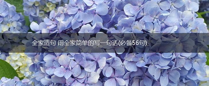 全家造句 用全家简单的写一句话(必备56句),第1张