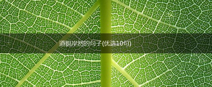 道貌岸然的句子(优选10句),第1张
