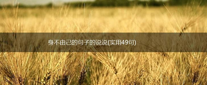 身不由己的句子的说说(实用49句),第1张
