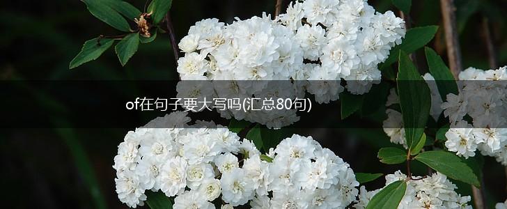 of在句子要大写吗(汇总80句),第1张