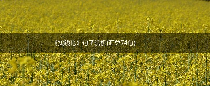 《实践论》句子赏析(汇总74句),第1张