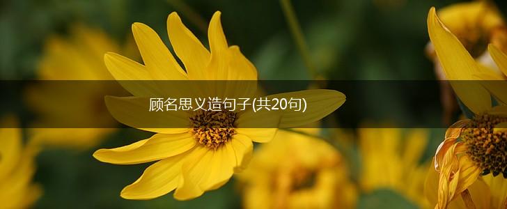 顾名思义造句子(共20句),第1张
