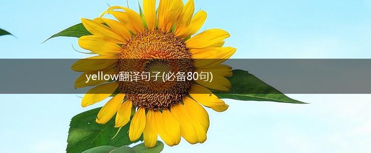 yellow翻译句子(必备80句),第1张