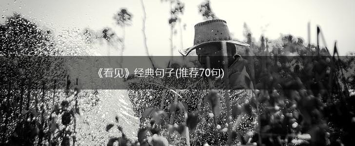《看见》经典句子(推荐70句),第1张