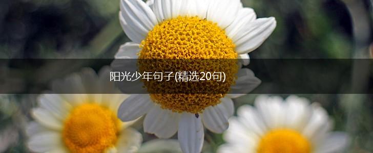 阳光少年句子(精选20句),第1张