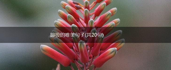 蹦极的唯美句子(共20句),第1张