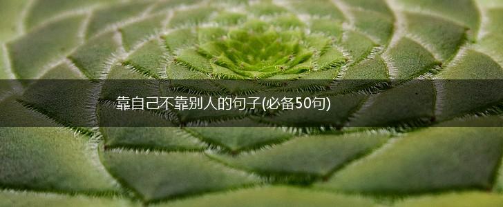 靠自己不靠别人的句子(必备50句),第1张