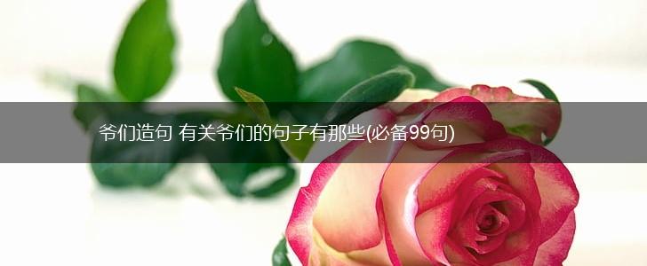 爷们造句 有关爷们的句子有那些(必备99句),第1张