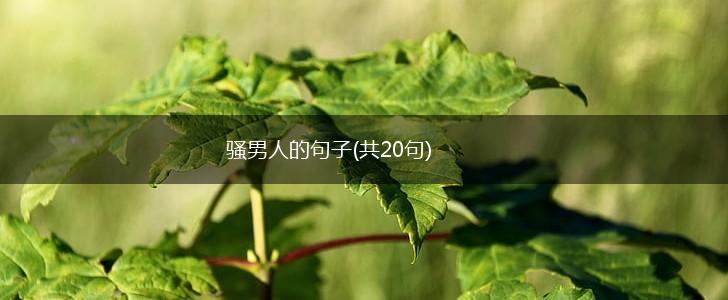 骚男人的句子(共20句),第1张