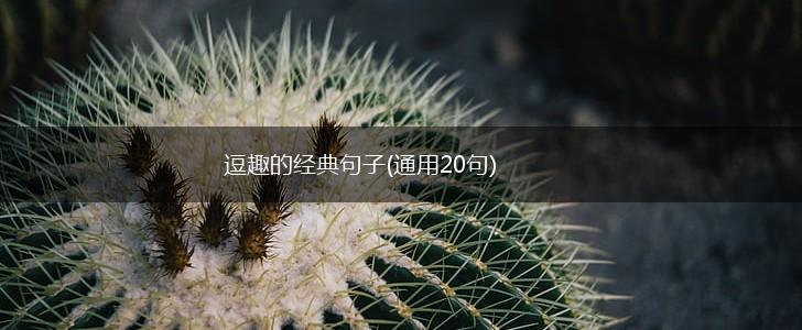 逗趣的经典句子(通用20句),第1张