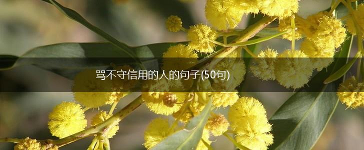 骂不守信用的人的句子(50句),第1张