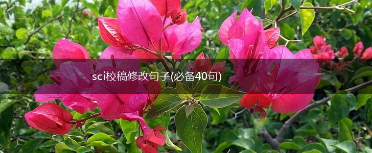 sci校稿修改句子(必备40句),第1张