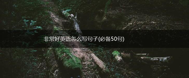 非常好英语怎么写句子(必备50句),第1张