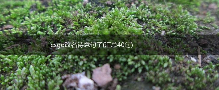 csgo改名诗意句子(汇总40句),第1张