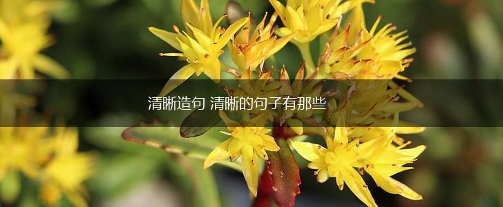 清晰造句 清晰的句子有那些,第1张