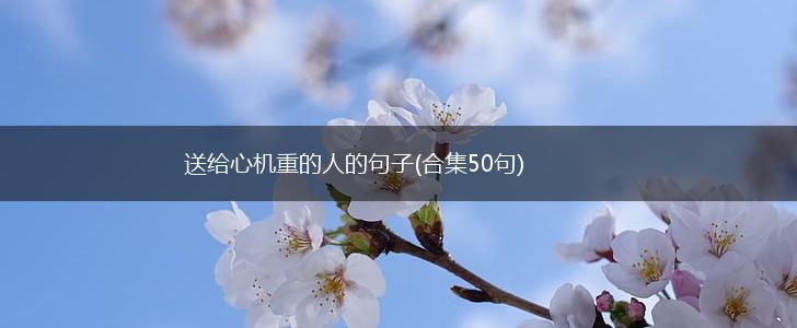送给心机重的人的句子(合集50句),第1张