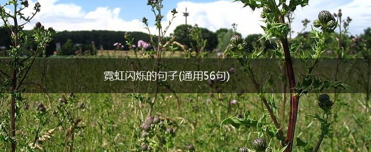霓虹闪烁的句子(通用56句),第1张