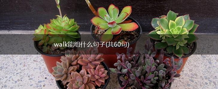 walk能组什么句子(共60句),第1张