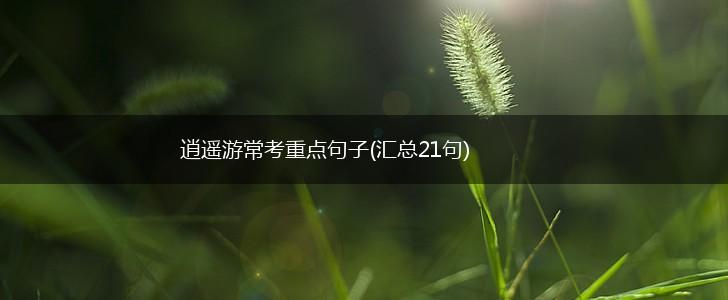 逍遥游常考重点句子(汇总21句),第1张