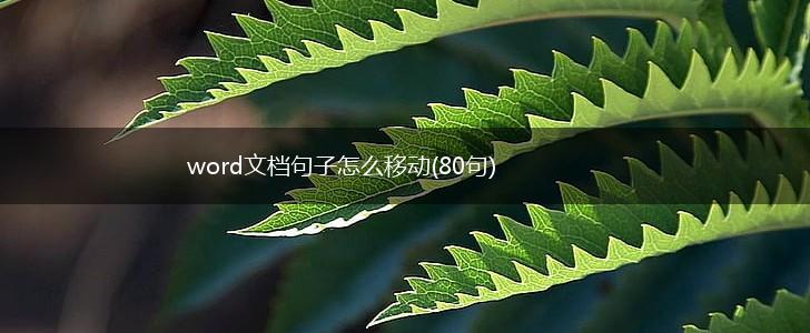 word文档句子怎么移动(80句),第1张