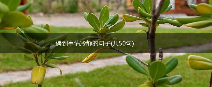 遇到事情冷静的句子(共50句),第1张
