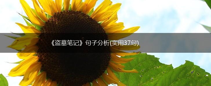 《盗墓笔记》句子分析(实用37句),第1张