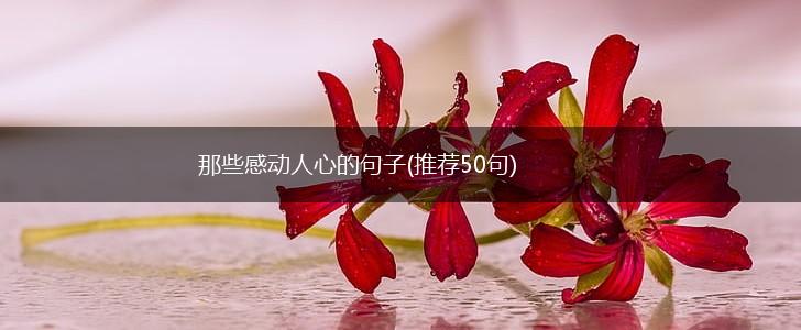 那些感动人心的句子(推荐50句),第1张