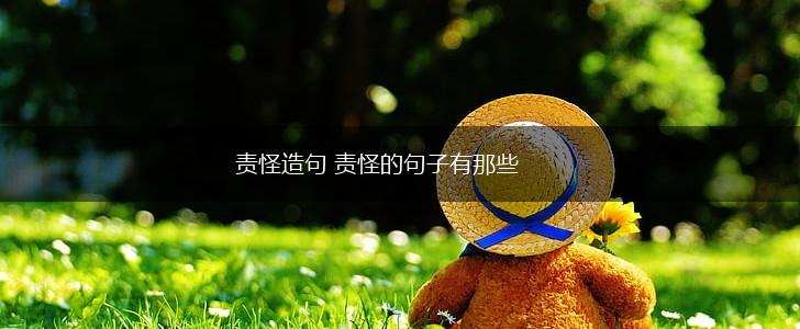 责怪造句 责怪的句子有那些,第1张