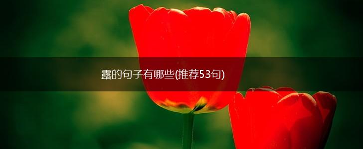 露的句子有哪些(推荐53句),第1张