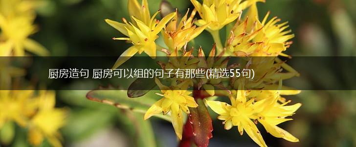 厨房造句 厨房可以组的句子有那些(精选55句),第1张