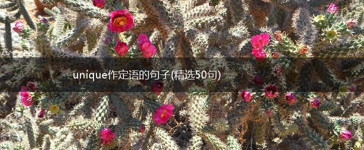 unique作定语的句子(精选50句),第1张