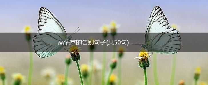 高情商的告别句子(共50句),第1张