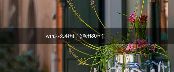 win怎么组句子(通用80句),第1张