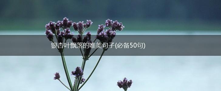 银杏叶飘落的唯美句子(必备50句),第1张