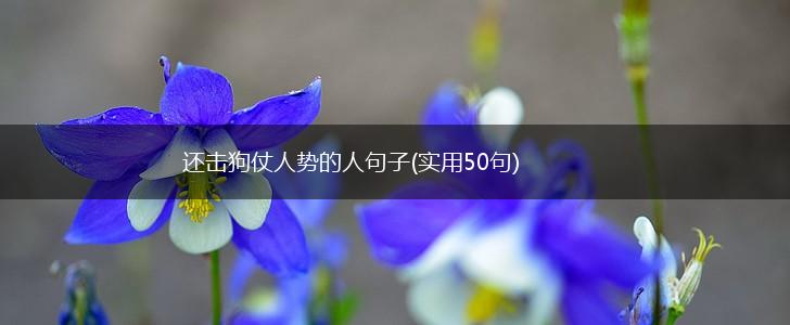 还击狗仗人势的人句子(实用50句),第1张