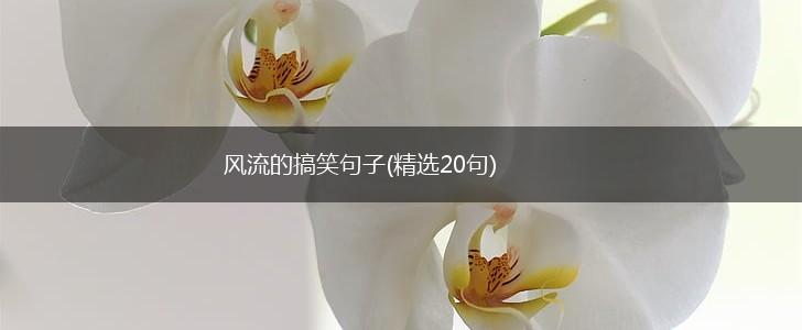 风流的搞笑句子(精选20句),第1张