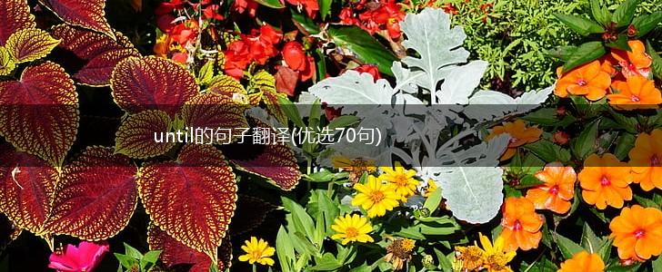 until的句子翻译(优选70句),第1张
