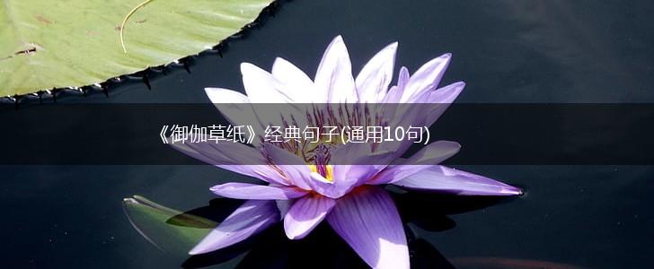 《御伽草纸》经典句子(通用10句),第1张