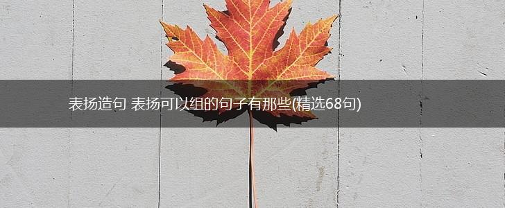 表扬造句 表扬可以组的句子有那些(精选68句),第1张