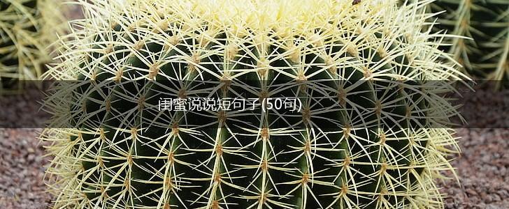 闺蜜说说短句子(50句),第1张