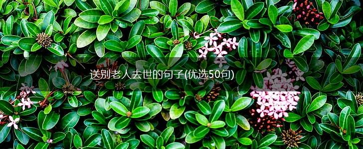 送别老人去世的句子(优选50句),第1张