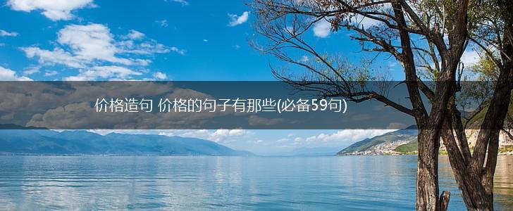 价格造句 价格的句子有那些(必备59句),第1张