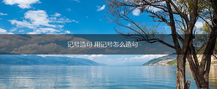 记号造句 用记号怎么造句,第1张