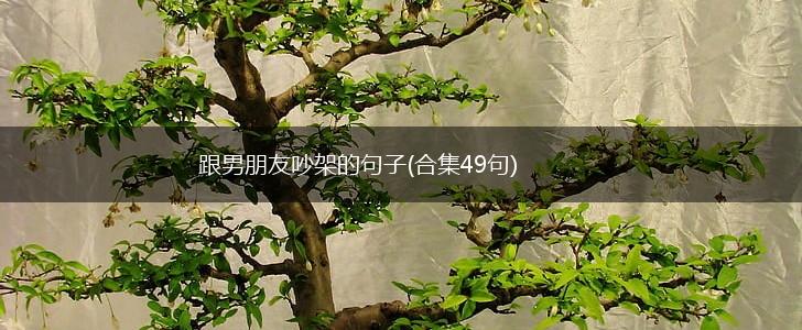 跟男朋友吵架的句子(合集49句),第1张