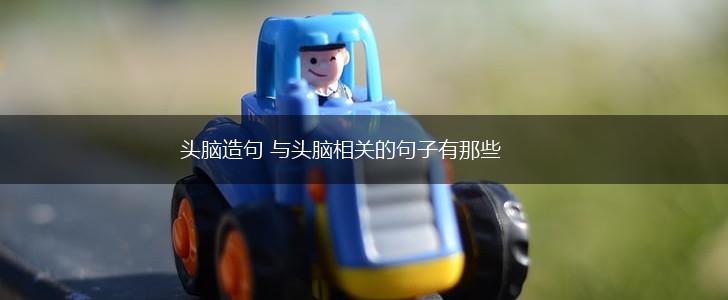 头脑造句 与头脑相关的句子有那些,第1张
