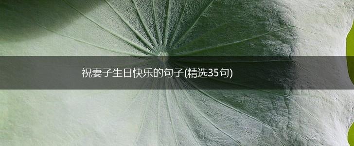 祝妻子生日快乐的句子(精选35句),第1张