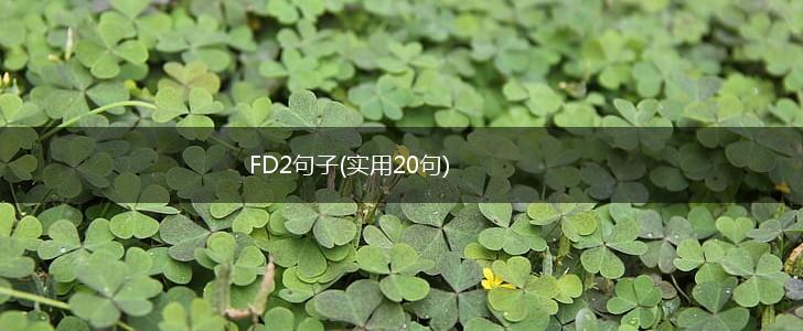 FD2句子(实用20句),第1张