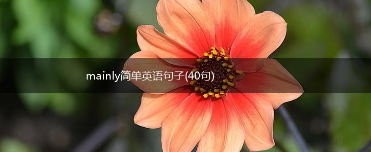 mainly简单英语句子(40句),第1张
