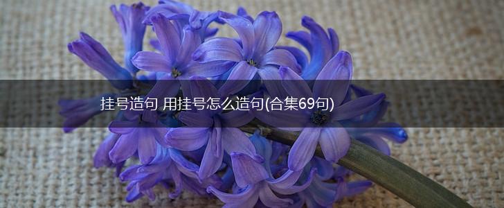 挂号造句 用挂号怎么造句(合集69句),第1张