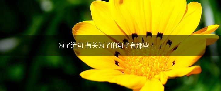 为了造句 有关为了的句子有那些,第1张
